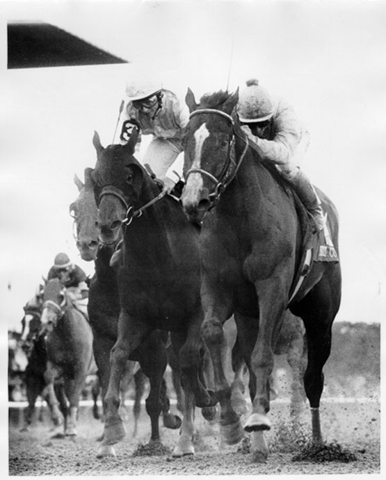 Unbridled
