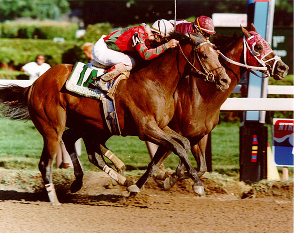 Victory Gallop