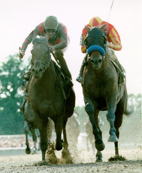 Victory Gallop