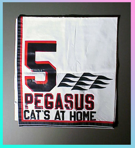 Cats At Home
