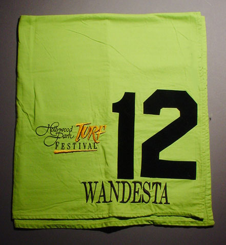 Wandesta