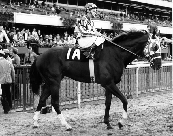 Secretariat  The Champagne Stakes