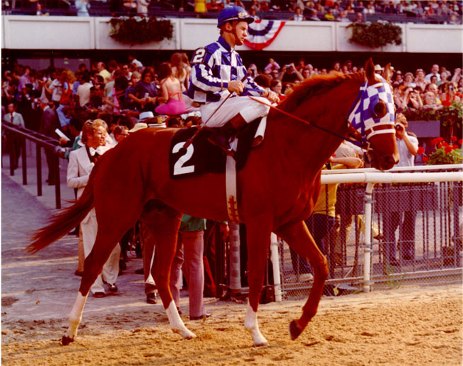Secretariat Belmont Stakes