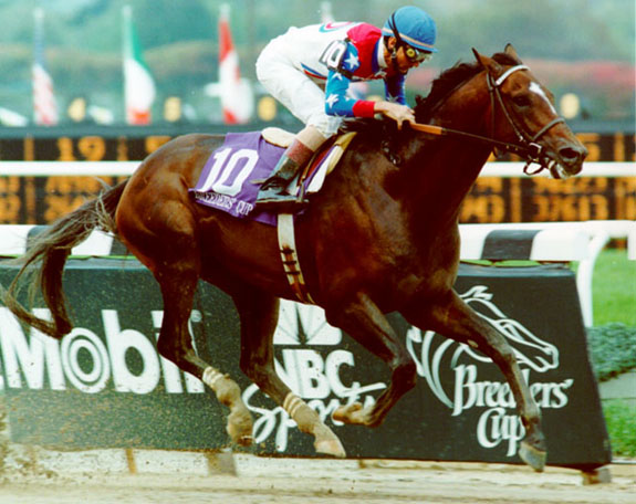 Cigar All Time American Leading Money Earner Racehorse