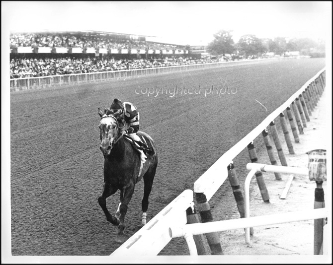 Spectacular Bid – The Walkover – Woodward Stakes